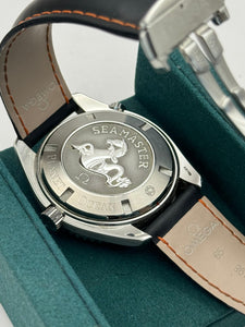 Omega Seamaster Planet Ocean 600m
