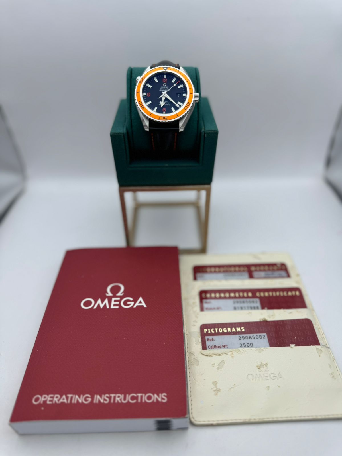 Omega Seamaster Planet Ocean 600m